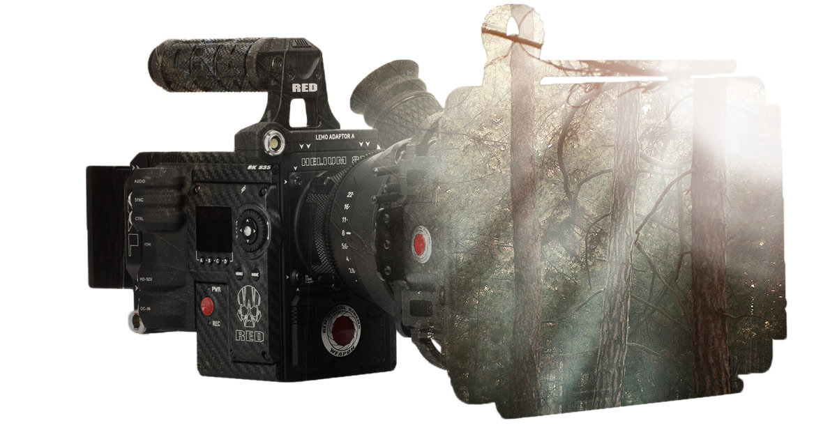 Image module