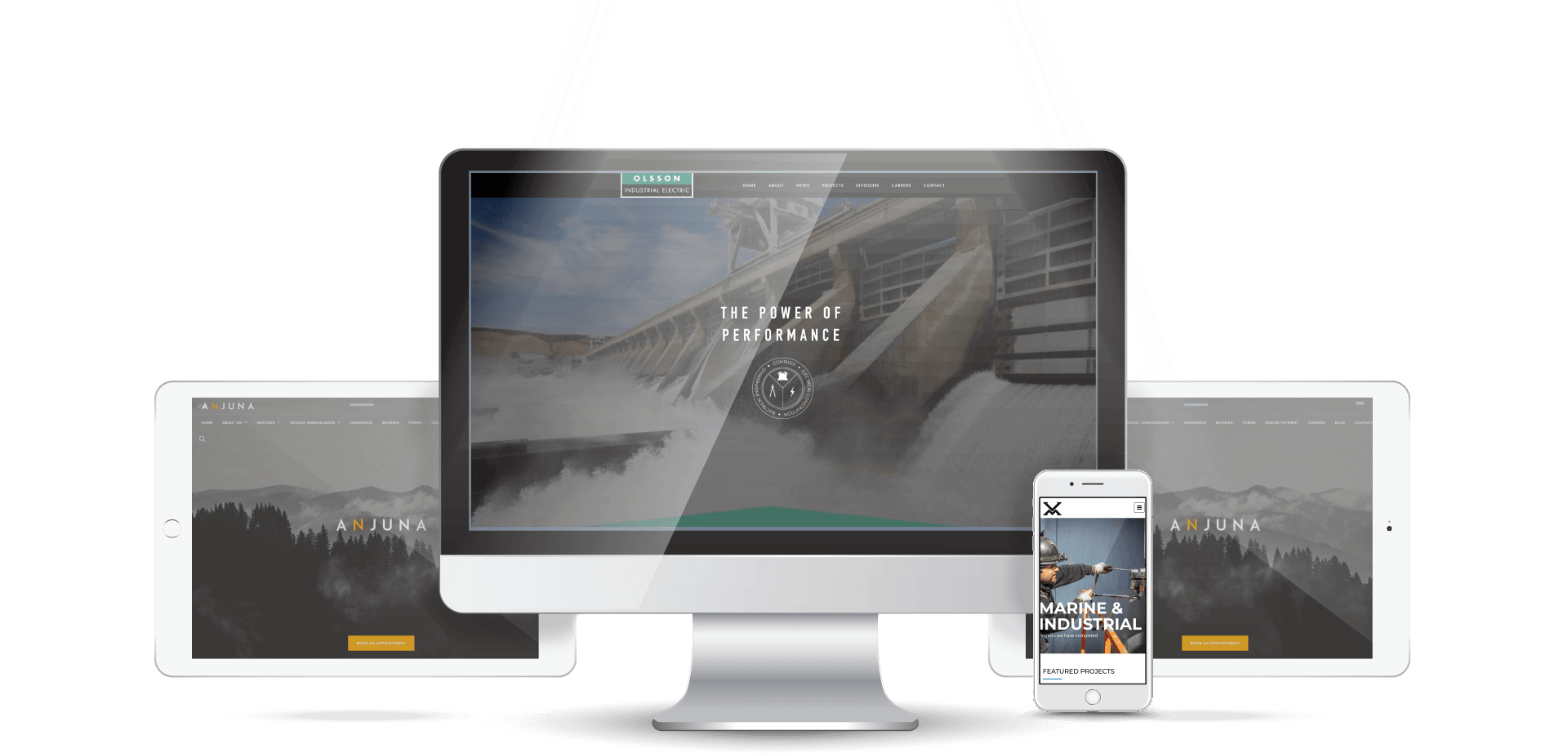 Image module