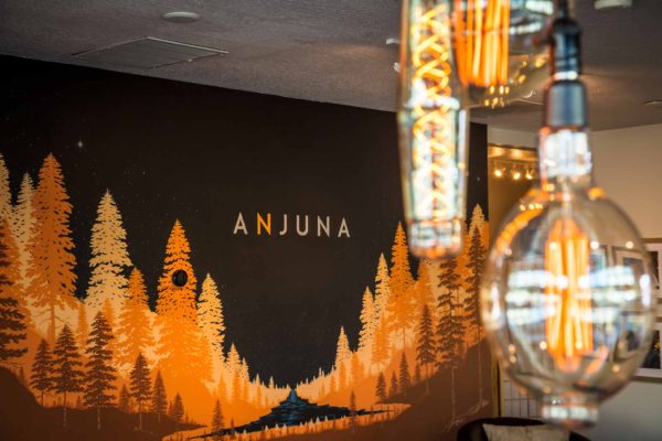 Case Study: Anjuna Medicine