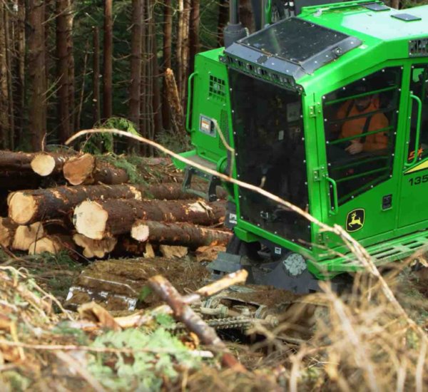 Papé Side-Slope Logging