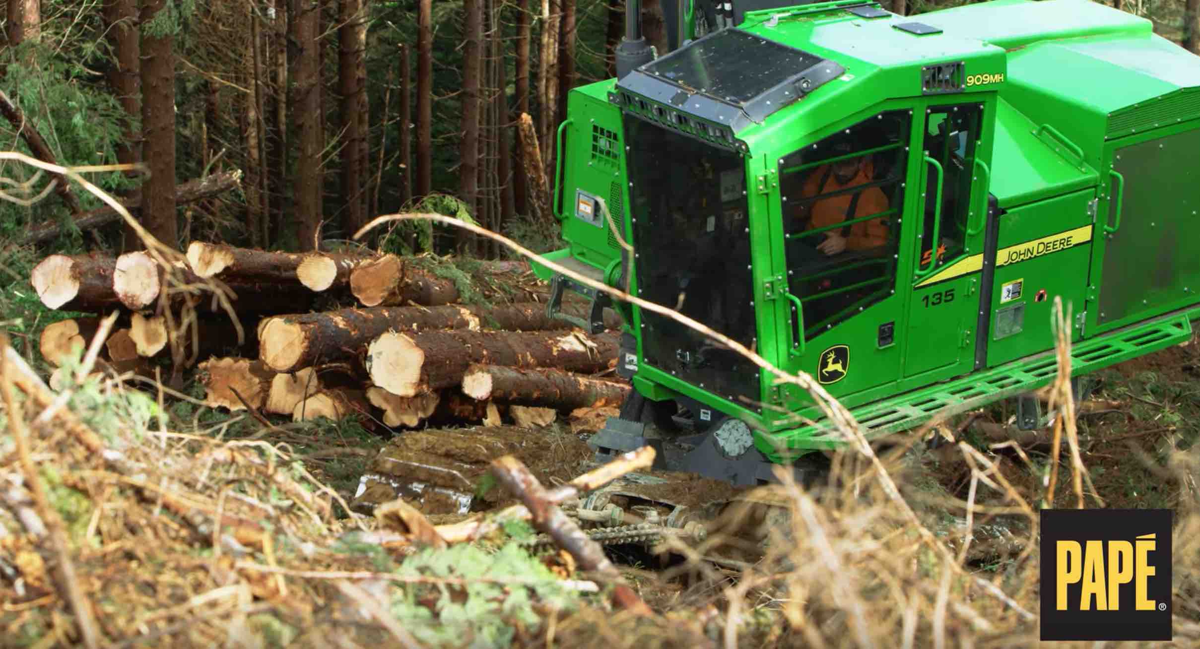 Papé Side-Slope Logging
