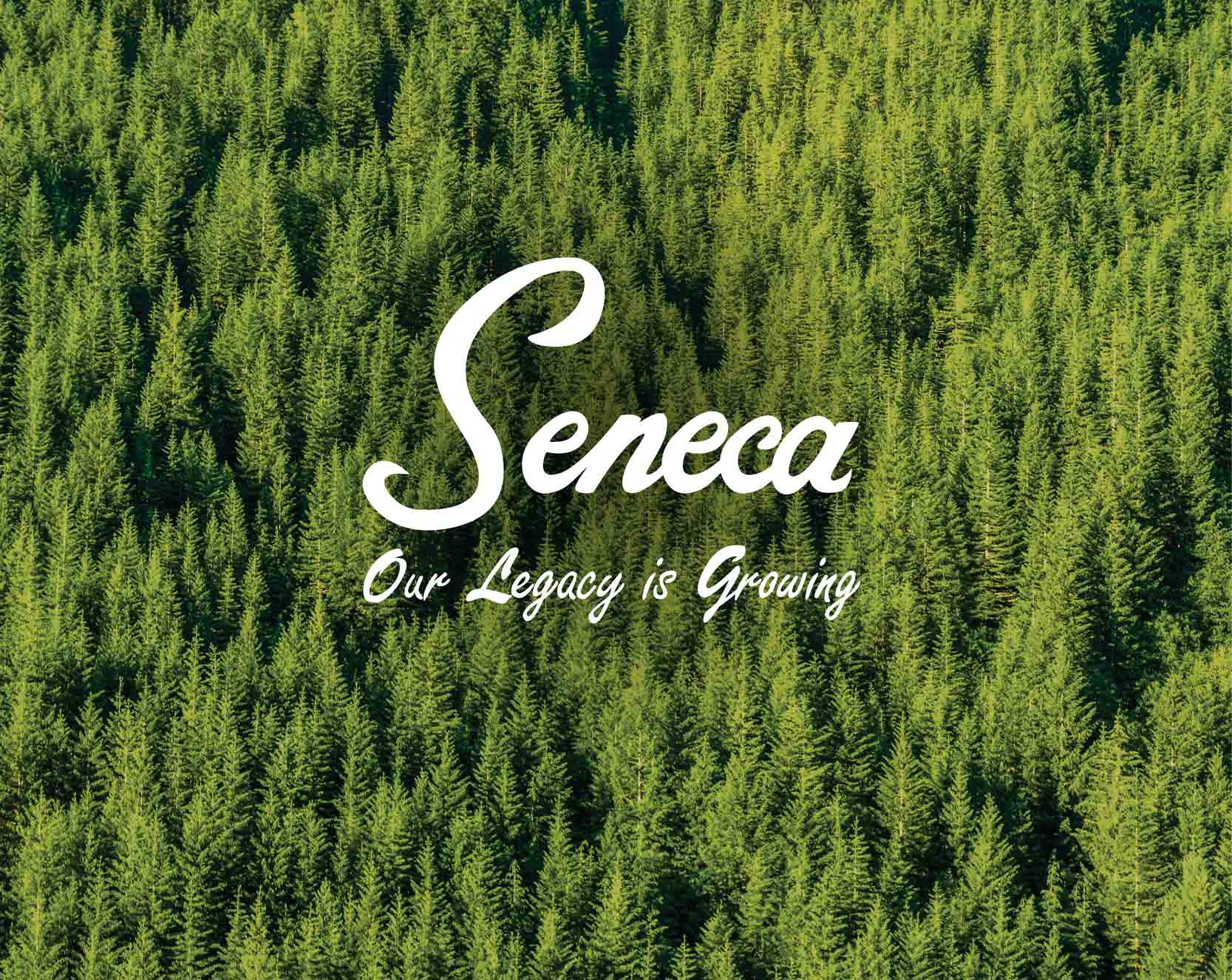 Case Study: Seneca Sawmill Virtual Reality